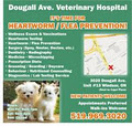 Dougall Avenue Veterinary Hospital image 2