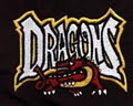 Durham Dragons Running Track Oshawa Pickering Toronto Whitby logo