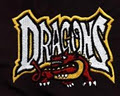 Durham Dragons Running Track Oshawa Pickering Toronto Whitby image 1