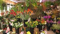 Dutchman Florist image 2