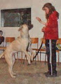 Eagle Hill Obedience Club image 2