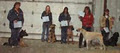 Eagle Hill Obedience Club image 3