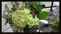 Elements Floral Design Ltd. image 2