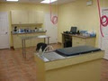 Elora Gorge Animal Hospital image 4