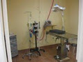 Elora Gorge Animal Hospital image 5