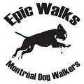 Epic Walks logo