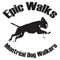 Epic Walks image 1