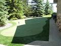 Evergreen Turf image 5