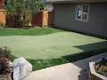 Evergreen Turf image 6