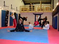 Evolution Martial Arts - Cranbrook Academy image 4
