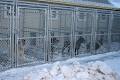 Expressway Kennels image 3