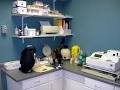 Fairview Drive Pet Hospital image 5