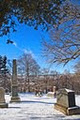 Fernhill Cemetery and Crematorium image 5