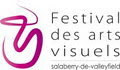 Festival des Arts Visuels de Salaberry-de-Valleyfield image 2