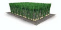 FieldTurf image 2