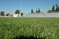 FieldTurf image 3