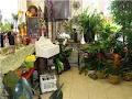 Flowers 'N Things Flower & Gift Shop image 6