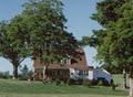 Forest Haven Inn logo