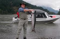 Fraser River Guided Fishing Trips with Silversides image 2