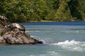 Fraser River Safari Ltd image 3