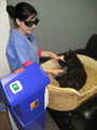 Fraser Valley Animal Hospital Ltd image 4