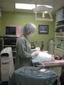 Fraser Valley Animal Hospital Ltd image 5