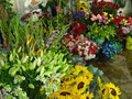 Freys Flowers Ltd. image 6