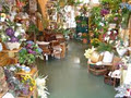 Freys Flowers Ltd. logo