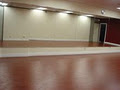 GO! Dance International Productions Studio image 3