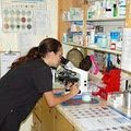 Glanbrook Veterinary Services image 5