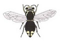 Golden Arrow Pest Control Inc. logo