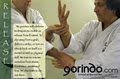 Gorindo Martial Art image 3