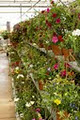 Greengate Garden Centres image 2