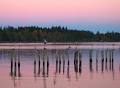 Greenways Land Trust image 1