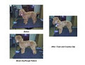 Grooming Tails Pet Salon image 1