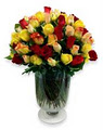 Grower Direct Fresh Cut Flowers image 2