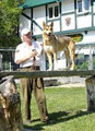 Havelberg Dog Academy image 2