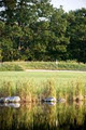 Hidden Lake Golf Club image 3