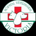 Hôpital Vétérinaire Victoria - Montréal image 5