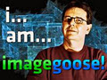 ImageGoose - Digital Imaging Services logo