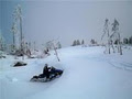 Island Adventure Snowmobile Tours image 5