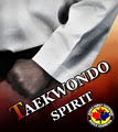 Jeong's Family Tae-Kwon-Do image 2