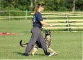 K9 Training and Supplies logo