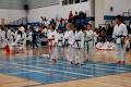 Kenshin Shotokan Karate Do image 3