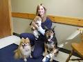 Kincardine Veterinary Services image 2
