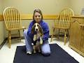 Kincardine Veterinary Services image 4