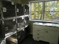 Kingsway Animal Hospital image 3