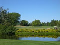 Leduc Golf & Country Club image 2