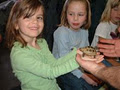 Little Ray's Reptile Adventure image 4