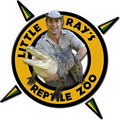 Little Ray's Reptile Adventure image 5